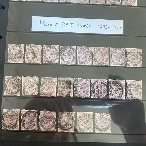 Queen victoria purple - 22,